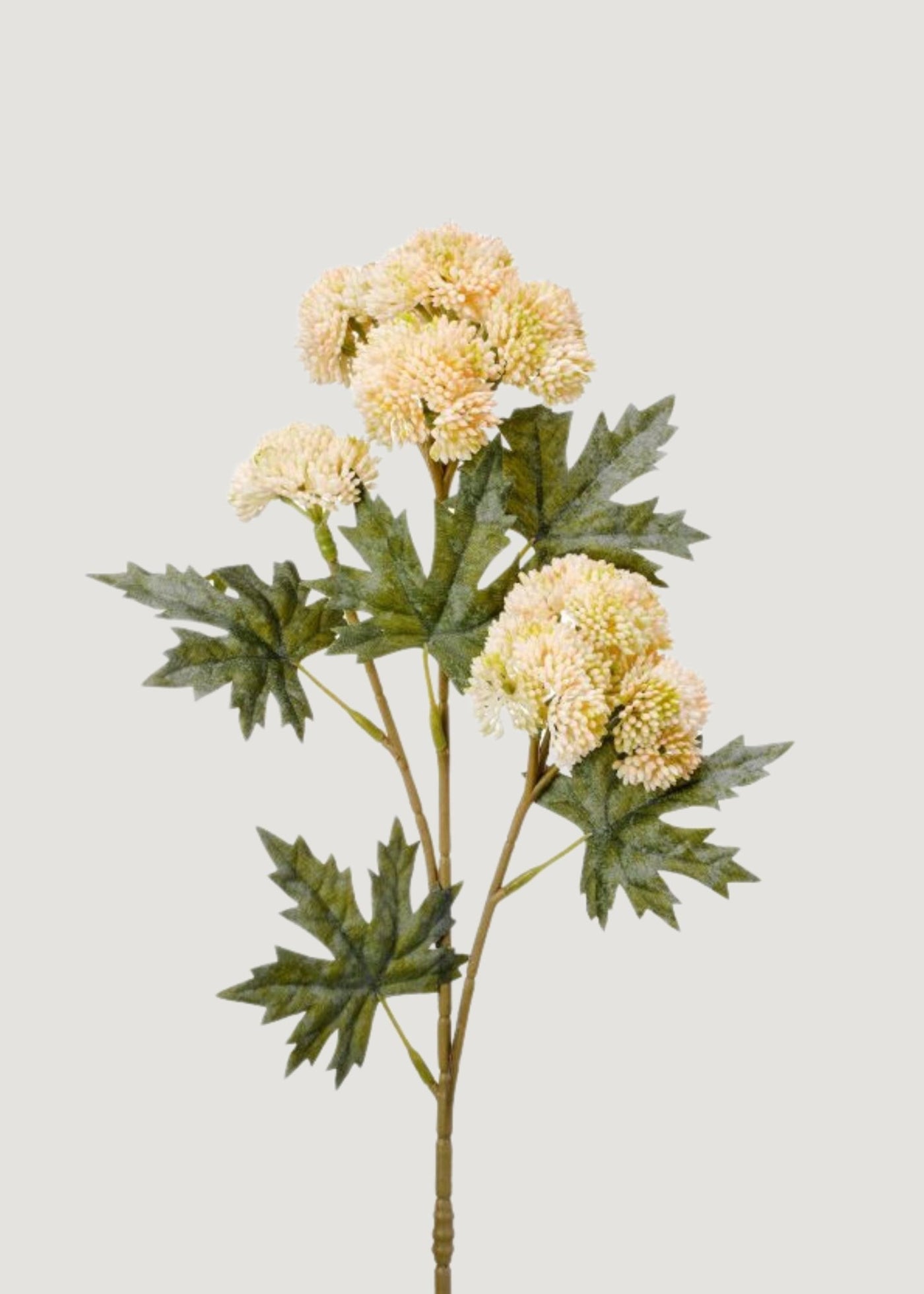Natural Touch Fake Sedum Succulent Branch in Cream - 28" - Sweet Water Decor - faux flower