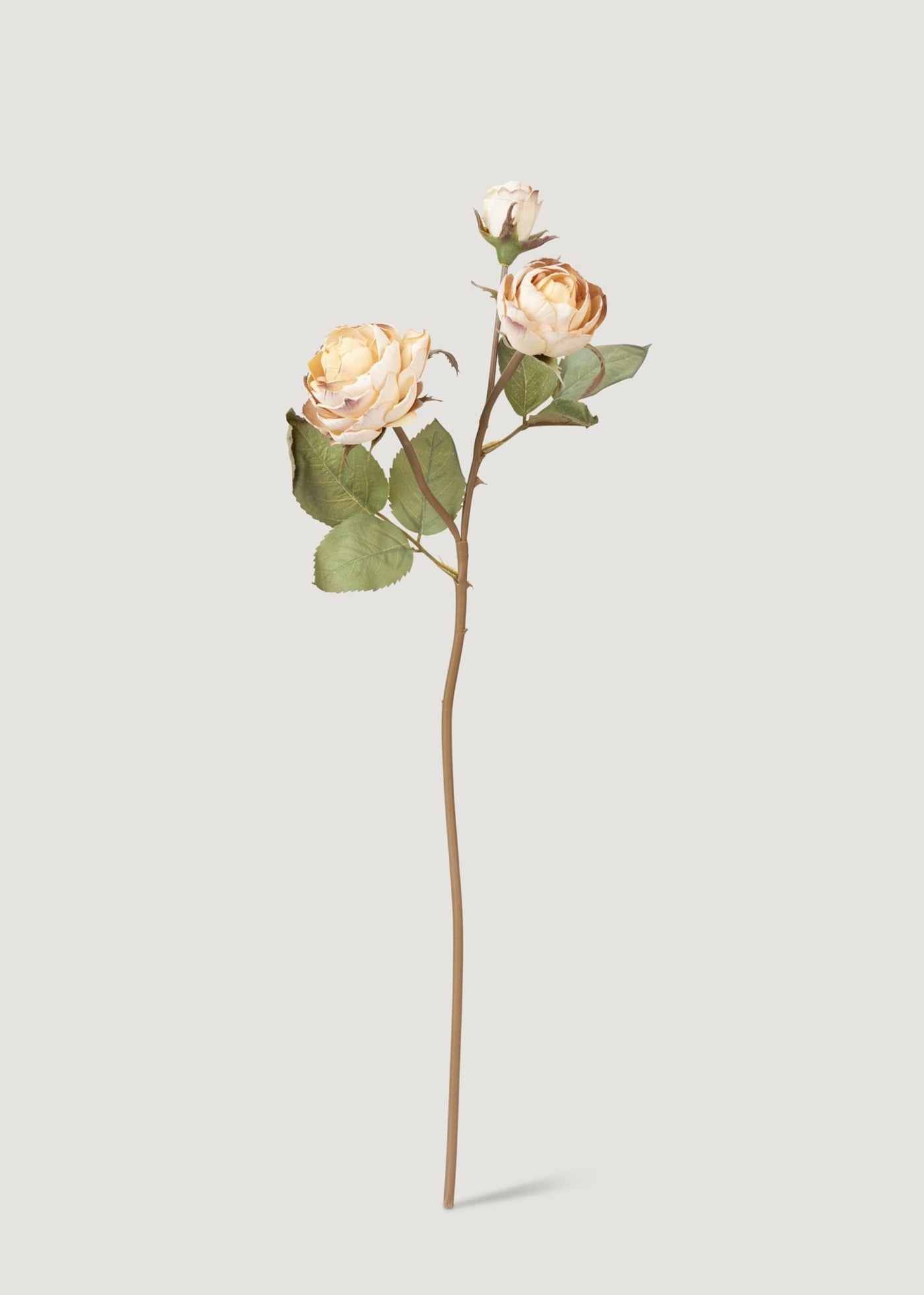 Dried Look Fake Roses in Beige - 21" - Sweet Water Decor - faux flower