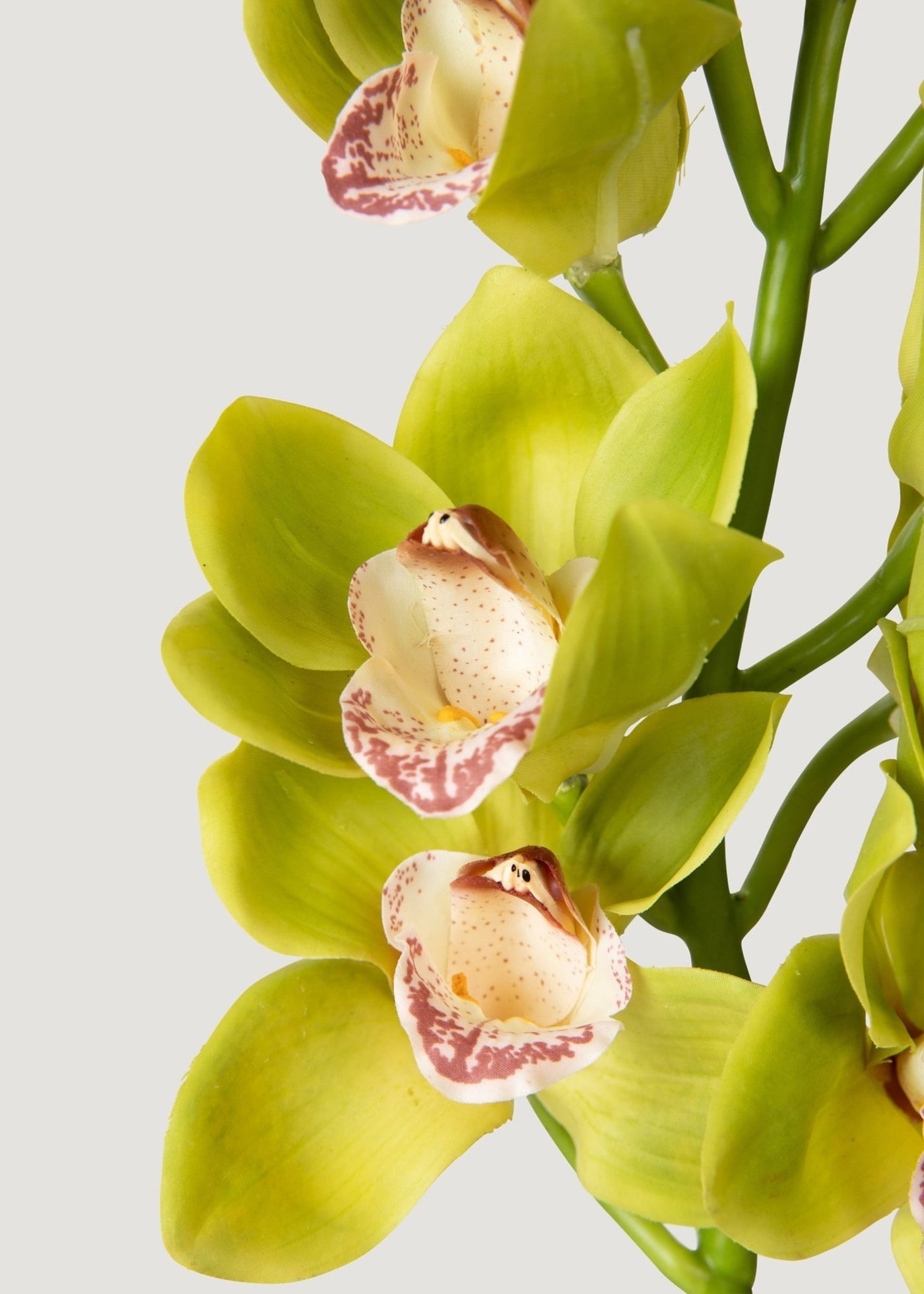 Green Burgundy Faux Cymbidium Orchids - 28.5" - Sweet Water Decor - faux flower