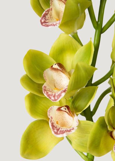 Green Burgundy Faux Cymbidium Orchids - 28.5" - Sweet Water Decor - faux flower