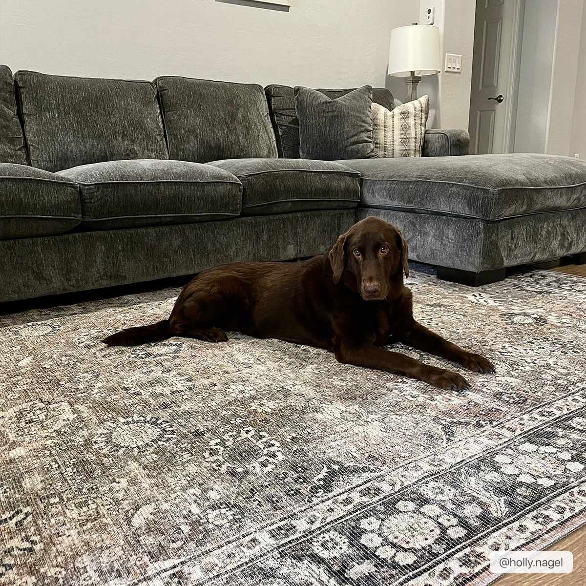 Ganyangan Washable Rug - Sweet Water Decor - Rugs