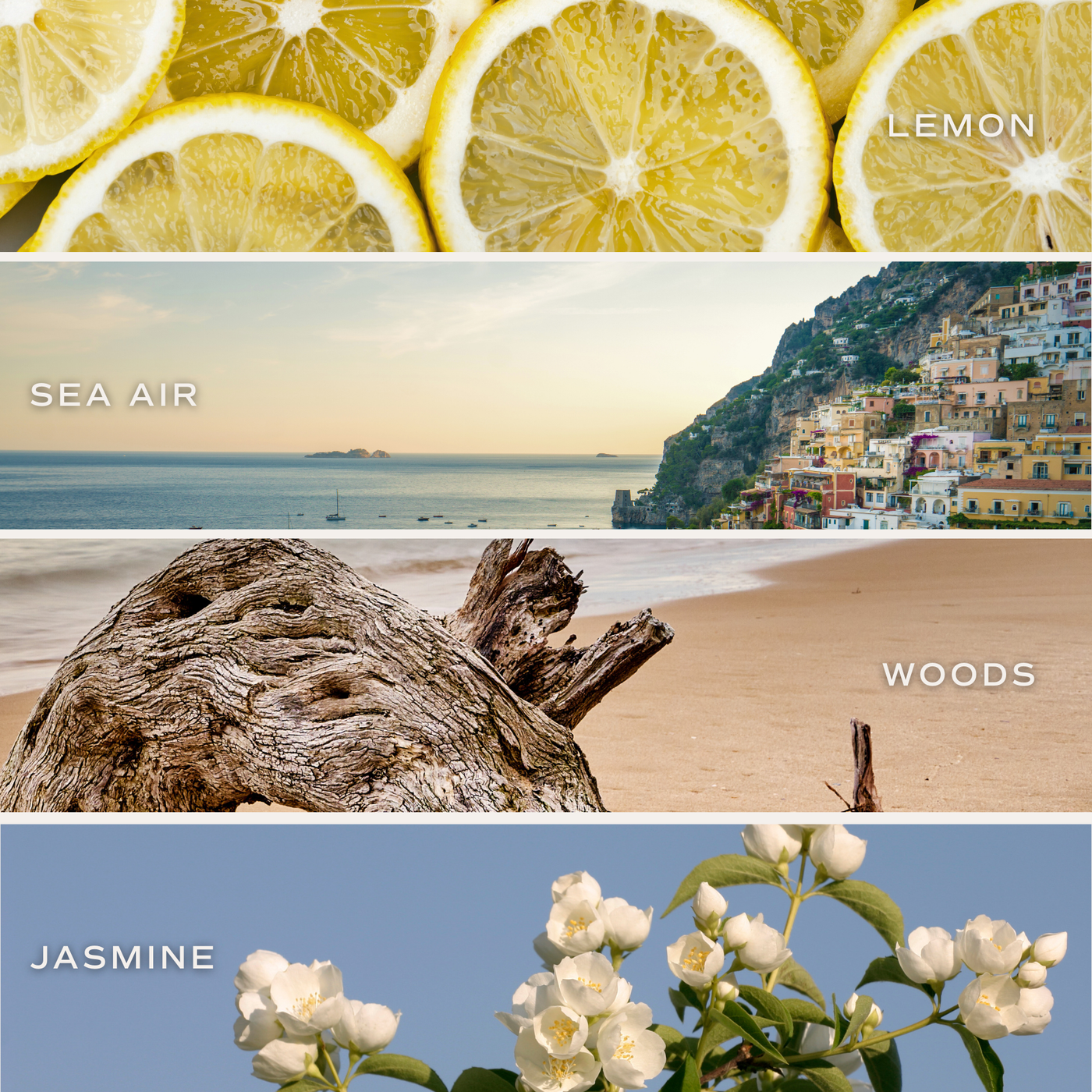 Coastal Lemon Clear Reed Diffuser