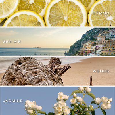 Coastal Lemon Clear Reed Diffuser