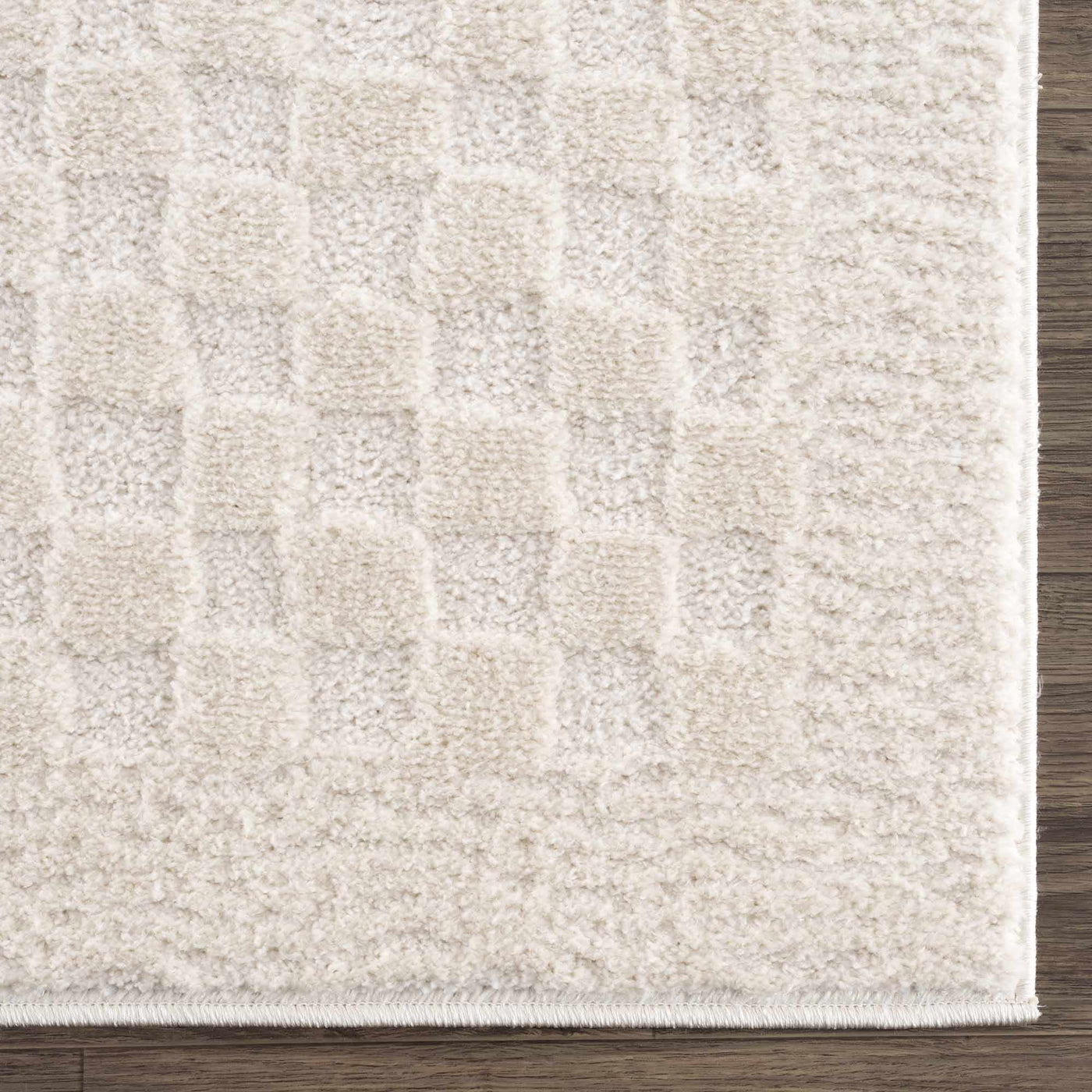 Leryn Ivory Checkered Area Rug - Sweet Water Decor - Rugs