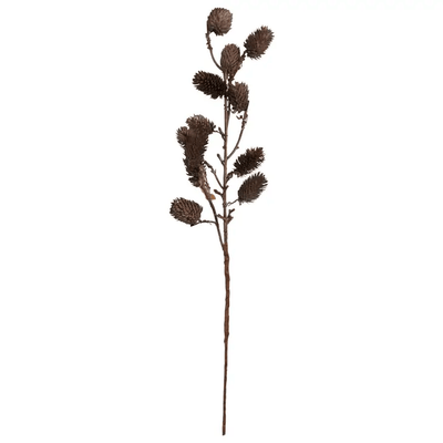 Botanical Sage - Sweet Water Decor - dried sage