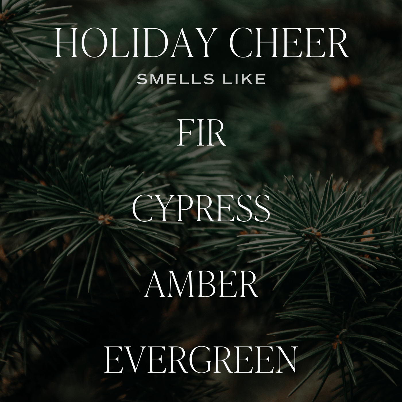 Holiday Cheer Soy Candle - 9 oz Patterned Clear Jar - Sweet Water Decor - Candles