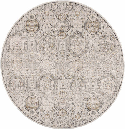 Parkerfield Area Rug - Sweet Water Decor - Rugs