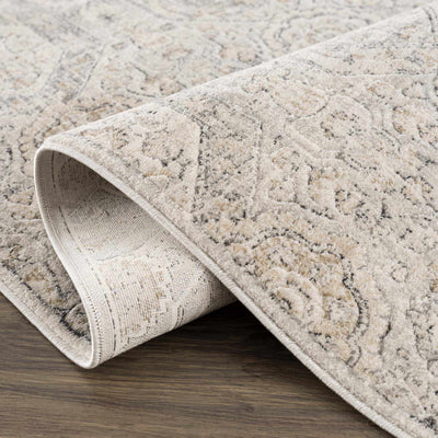 Parkerfield Area Rug - Sweet Water Decor - Rugs