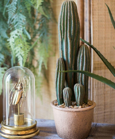 Artificial Faux Cactus in Brown Pot - Sweet Water Decor - Artificial Plant