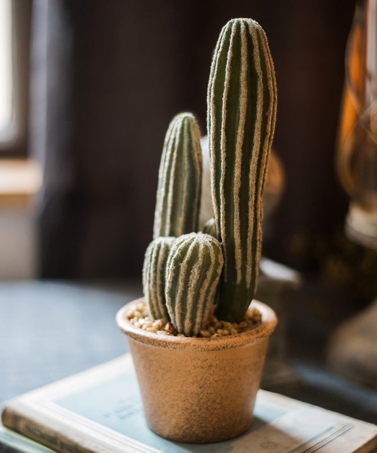 Artificial Faux Cactus in Brown Pot - Sweet Water Decor - Artificial Plant