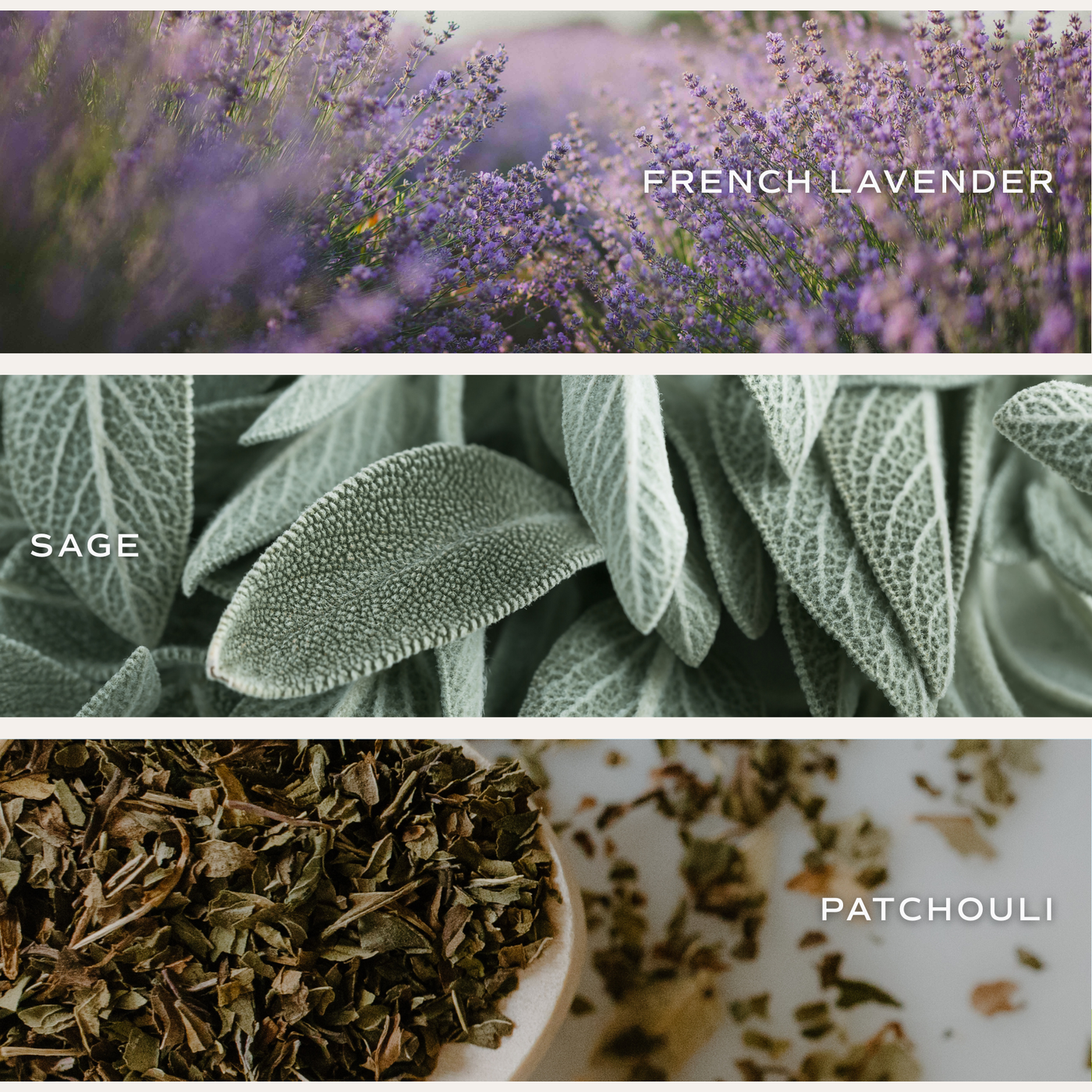 Lavender and Sage Soy Candle - White Jar - 11 oz