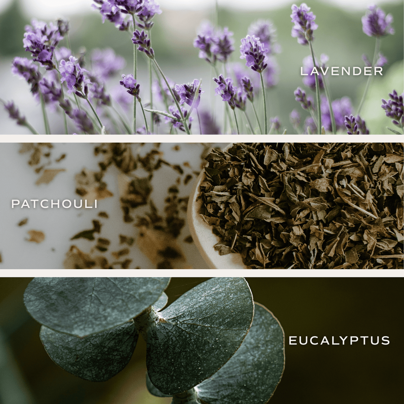 Calm and Comfort Clear Reed Diffuser (Self Care Lavender and Eucalyptus) - Sweet Water Decor - Reed Diffusers