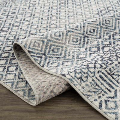 Askeaton Washable Area Rug - Sweet Water Decor - Rugs