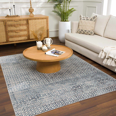 Askeaton Washable Area Rug - Sweet Water Decor - Rugs