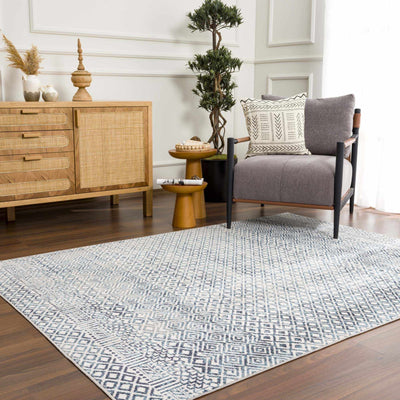 Askeaton Washable Area Rug - Sweet Water Decor - Rugs