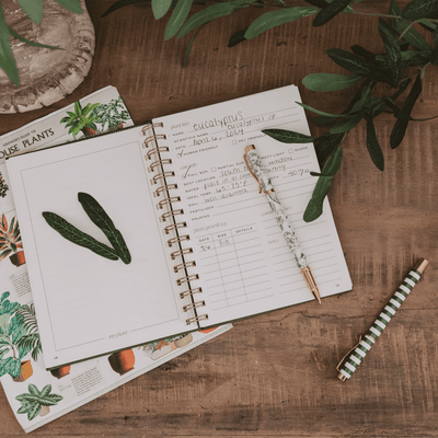 Plant Journal - Sweet Water Decor - Notebooks