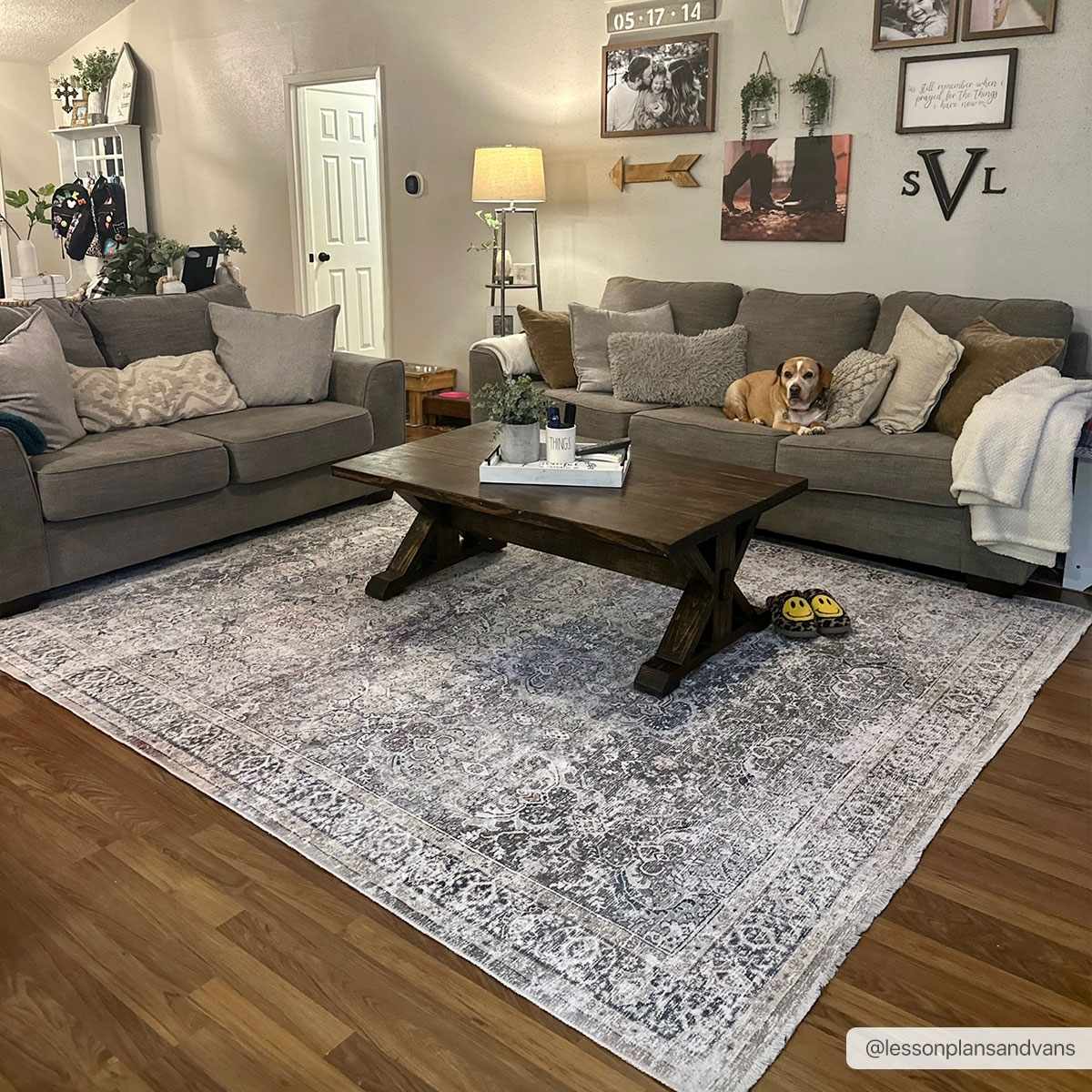 Olive Holi - 2304 Washable Area Rug - Sweet Water Decor - Rugs