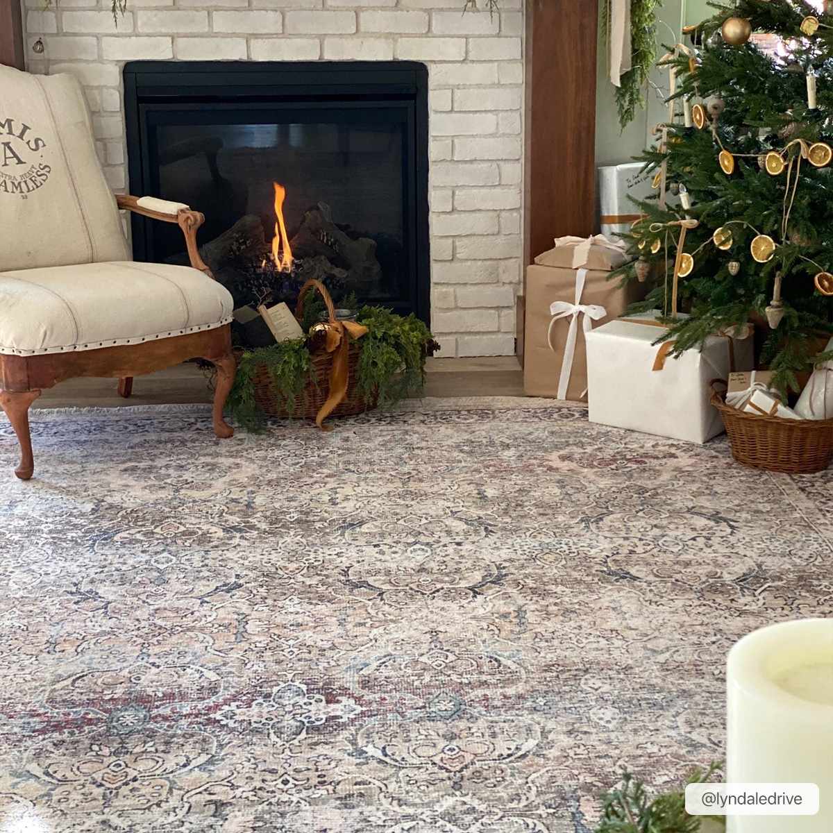 Olive Holi - 2304 Washable Area Rug - Sweet Water Decor - Rugs