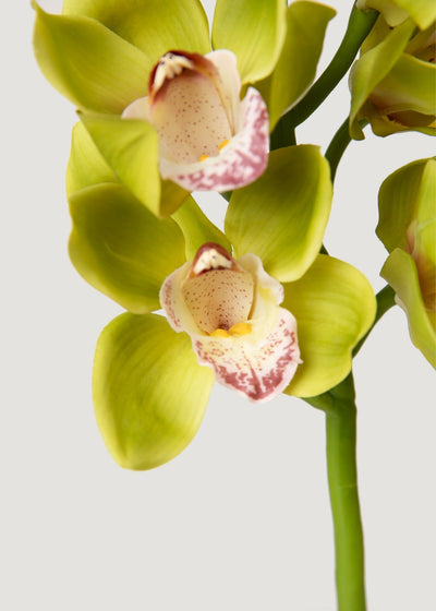 Green Burgundy Faux Cymbidium Orchids - 28.5" - Sweet Water Decor - faux flower