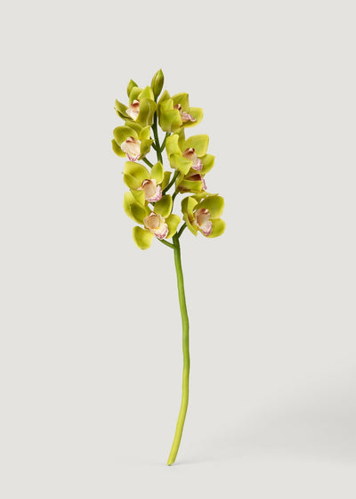 Green Burgundy Faux Cymbidium Orchids - 28.5" - Sweet Water Decor - faux flower