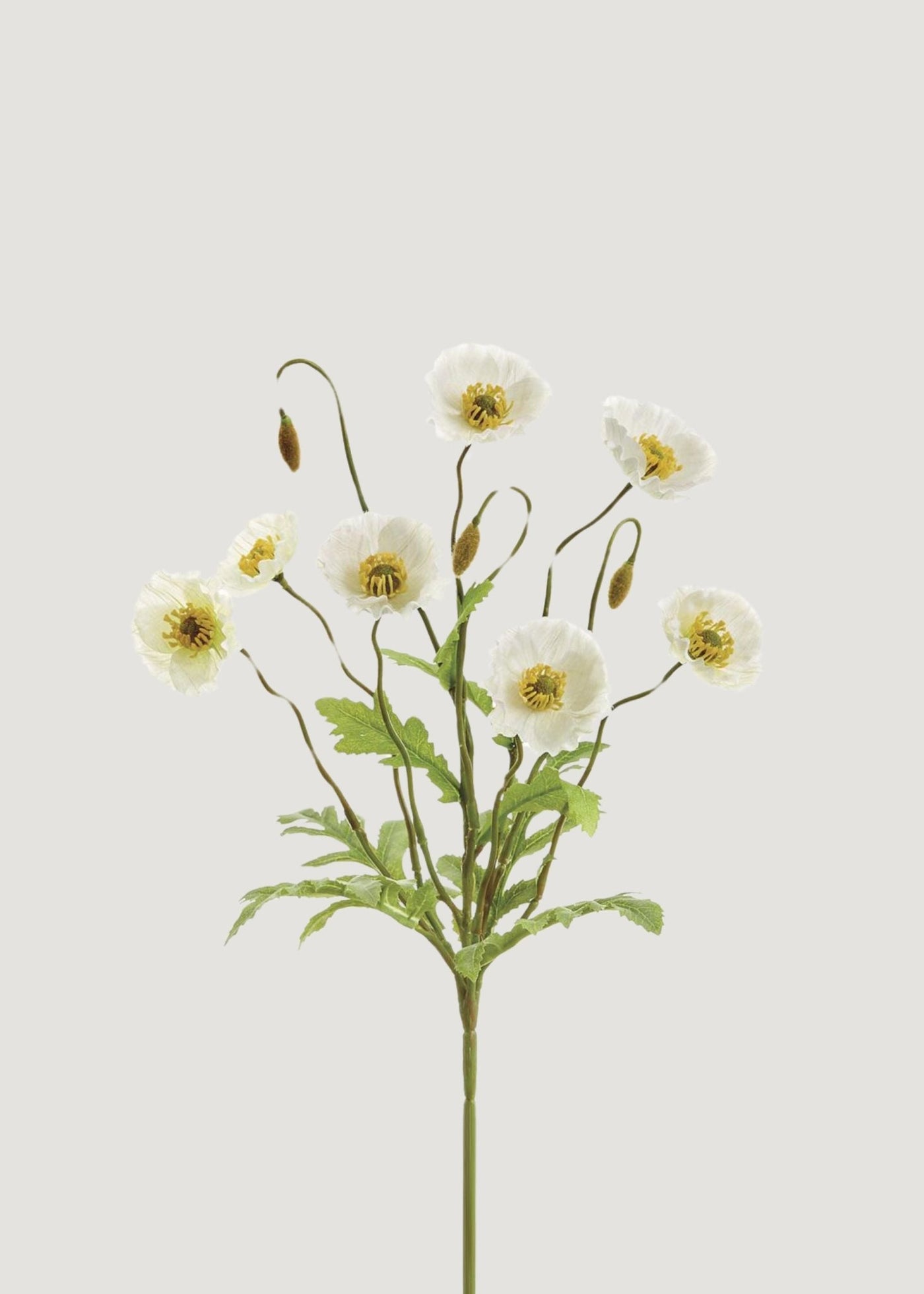 Cream Poppy Blooming Fake Flower Bush - 15" - Sweet Water Decor - faux flower