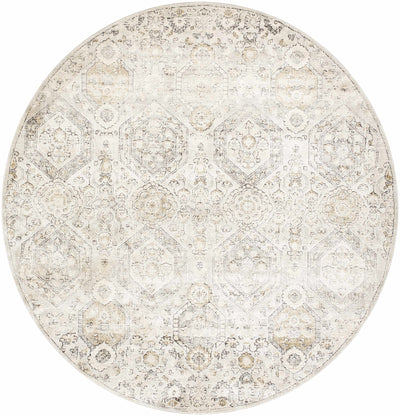 Parkerfield Area Rug - Sweet Water Decor - Rugs