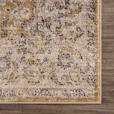 Anana Gold & Beige Area Rug - Sweet Water Decor - Rugs