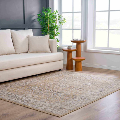 Anana Gold & Beige Area Rug - Sweet Water Decor - Rugs