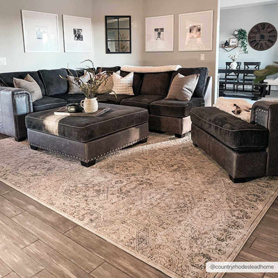Parkerfield Area Rug - Sweet Water Decor - Rugs