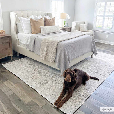 Parkerfield Area Rug - Sweet Water Decor - Rugs