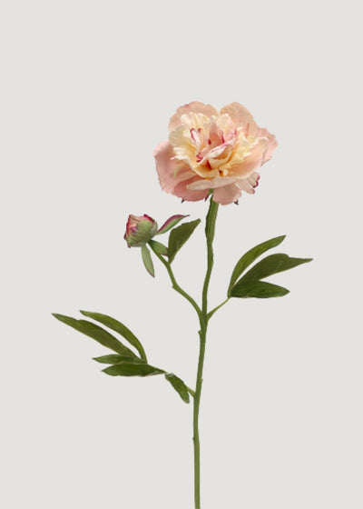 Soft Apricot Pink Peony Fake Flower - 22" - Sweet Water Decor - faux flower