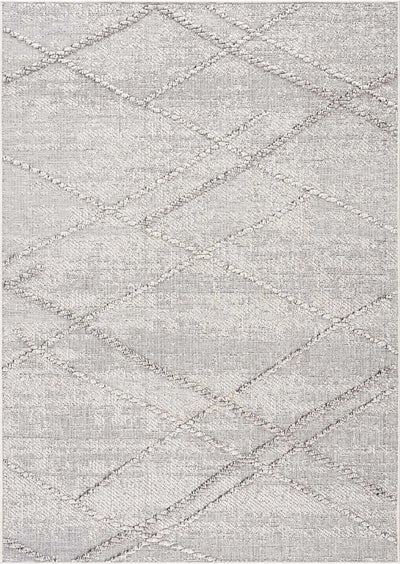 Baqer Bone & Taupe Area Rug - Sweet Water Decor - Rugs