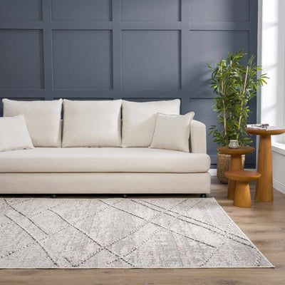 Baqer Bone & Taupe Area Rug - Sweet Water Decor - Rugs