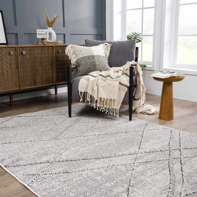 Baqer Bone & Taupe Area Rug - Sweet Water Decor - Rugs