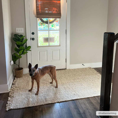Senneterre Bleached Jute Rug - Sweet Water Decor - Rugs