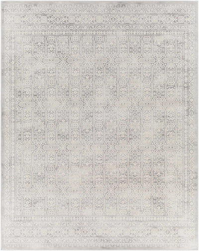 Michie Gray Area Rug - Sweet Water Decor - Rugs