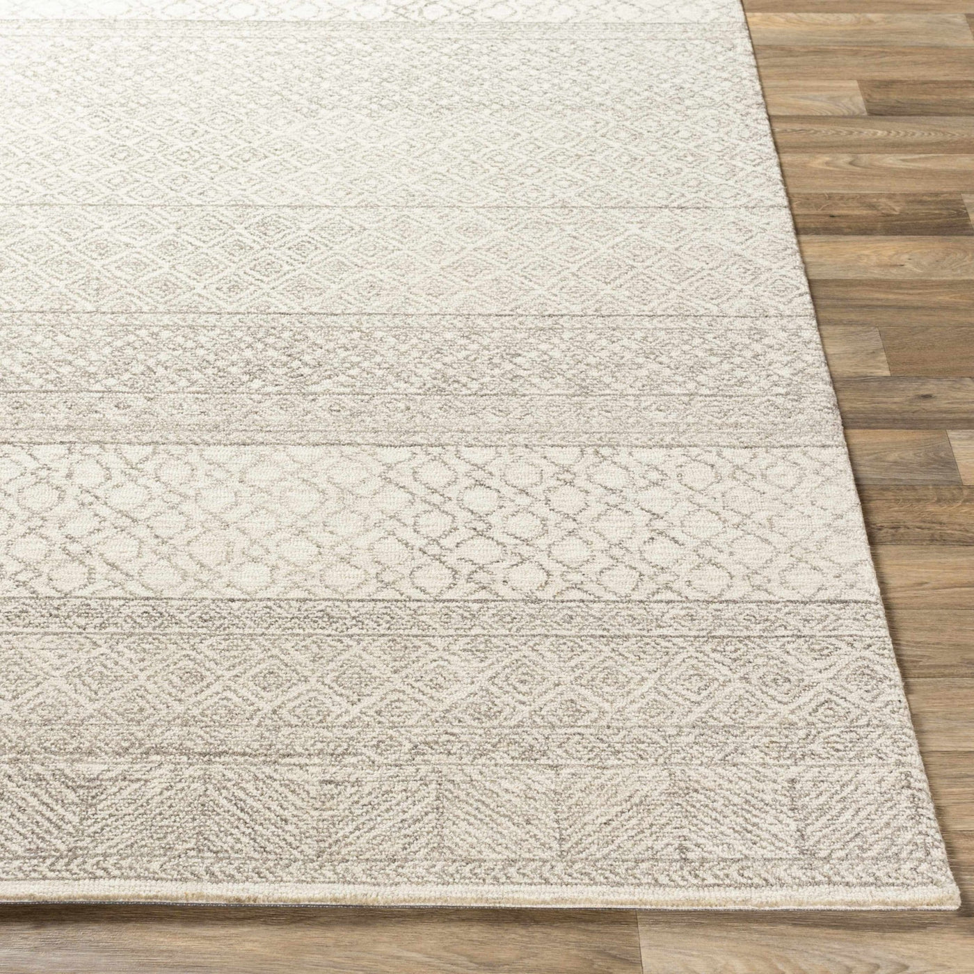 Basinger Wool Area Rug - Sweet Water Decor - Rugs