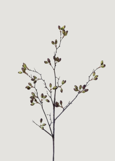 Fake Berries Tall Barberry Pod Branch - 37.75" - Sweet Water Decor - Faux Plant