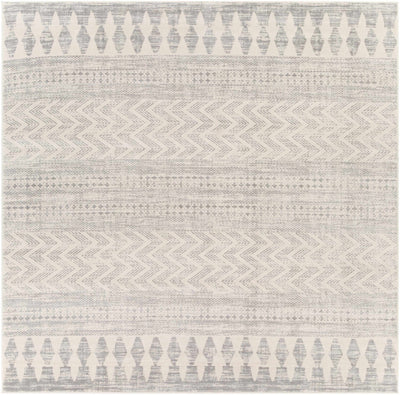 Chinnor Neutral Area Rug - Sweet Water Decor - Rugs