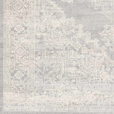 Gormania Area Rug - Sweet Water Decor - Rugs