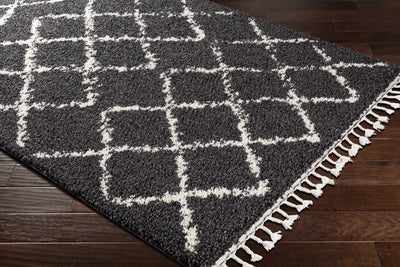 Wallagrass Black/Beige Trellis Tassel Shag