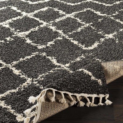 Wallagrass Black/Beige Trellis Tassel Shag