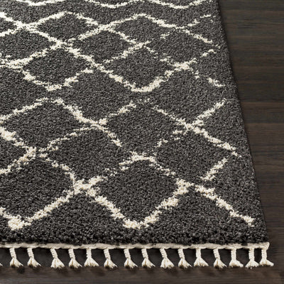 Wallagrass Black/Beige Trellis Tassel Shag