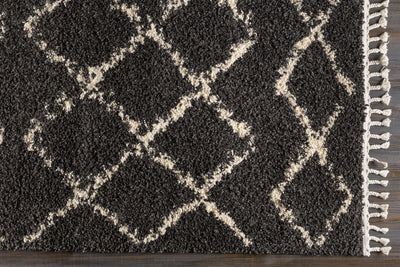 Wallagrass Black/Beige Trellis Tassel Shag