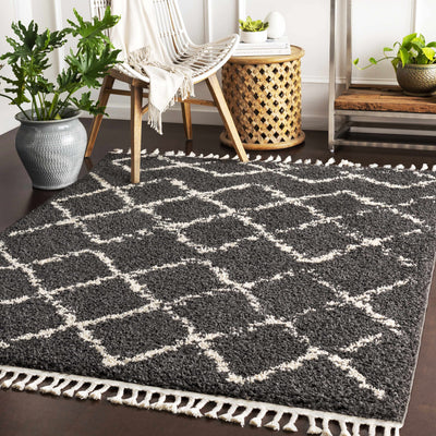 Wallagrass Black/Beige Trellis Tassel Shag