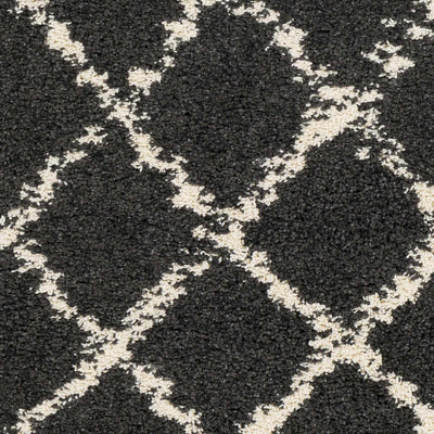 Wallagrass Black/Beige Trellis Tassel Shag