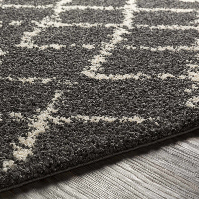 Wallagrass Black/Beige Trellis Tassel Shag