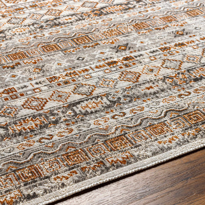 Joao Washable Area Rug