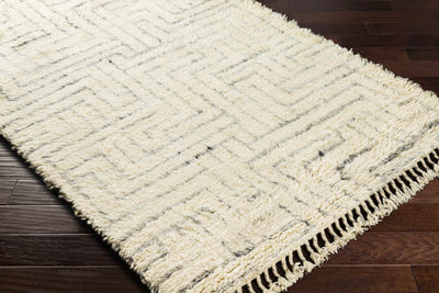 Longstanton Wool Area Rug